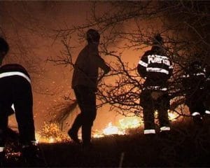 incendiu vegetatie uscata