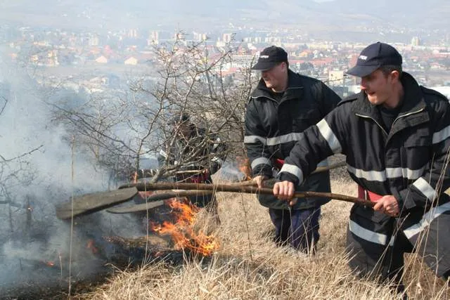 incendiu miristi