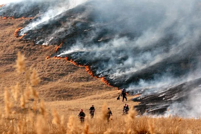 incendiere vegetatie uscata