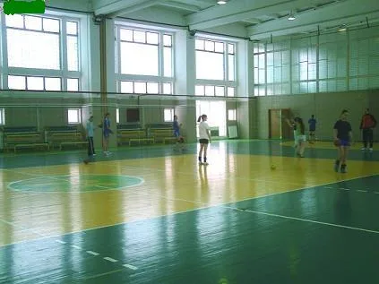 handbal feminin LPS