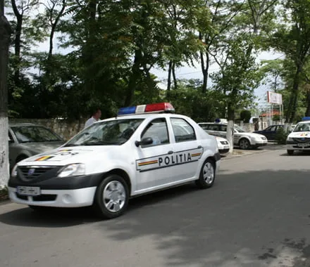 Politie masina