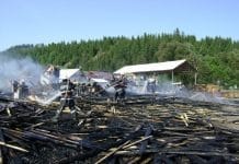 Incendiu violent la o fabrică de prelucrare a lemnului din Dârmoxa cu pagube importante. Pompierii militari au reușit să salveze o parte din materialul lemnos