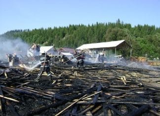 Incendiu violent la o fabrică de prelucrare a lemnului din Dârmoxa cu pagube importante. Pompierii militari au reușit să salveze o parte din materialul lemnos