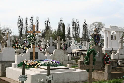 cimitir