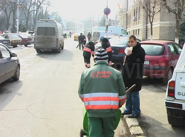 rosal la treaba prin suceava