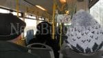 Autobuz