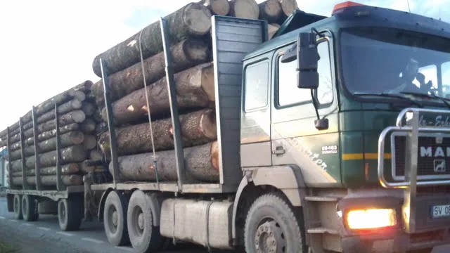 camion lemne