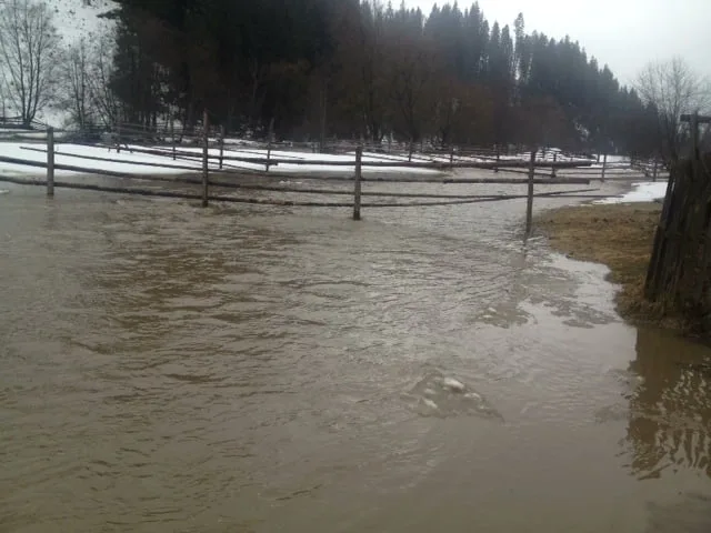 inundatii rau dorna 1