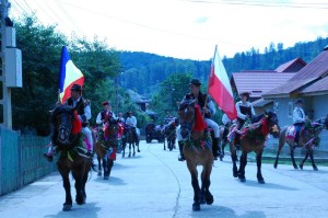 Solonetu Nou 6