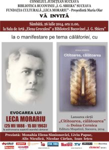 doina cernica
