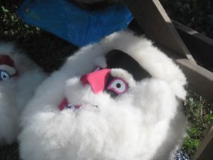 SAM_0202
