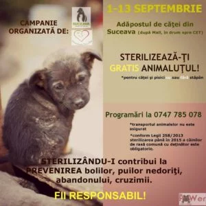 sterilizare caini si pisici suceava