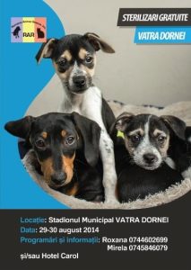 sterilizare vatra dornei