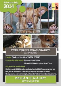 afis sterilizari caini vatra dornei