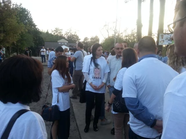 udrea popovici milici pmp