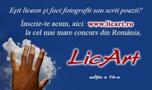 anunt-facebook-incepere-licart-2014-1