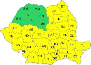 ANM2