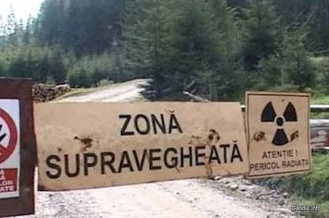 mina crucea