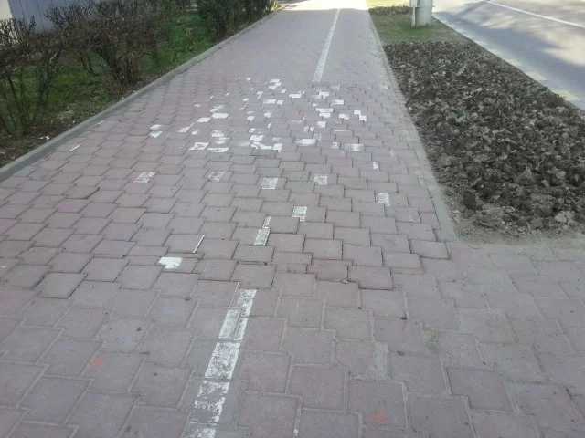 pista biciclete (2)