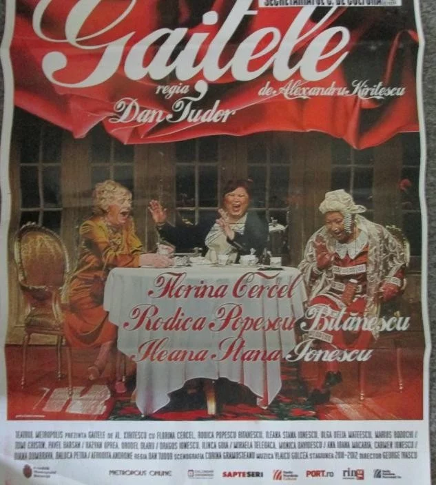 gaitele afis modificat