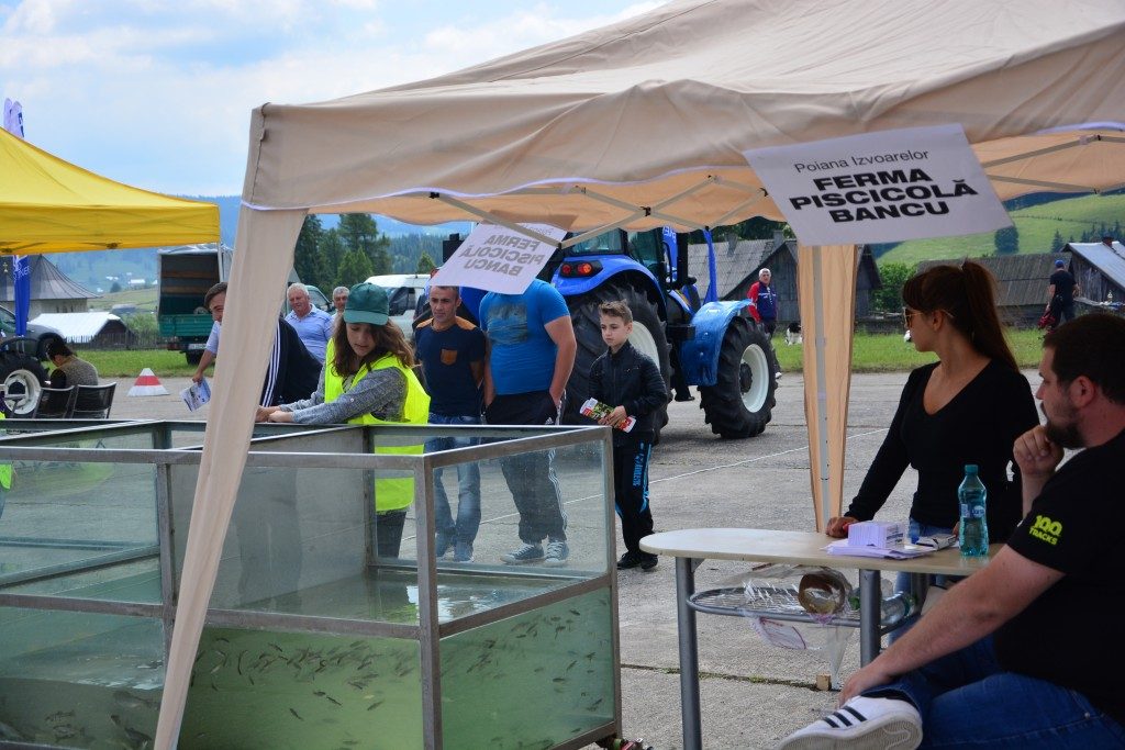 targ zooteh picnic gratare (8)