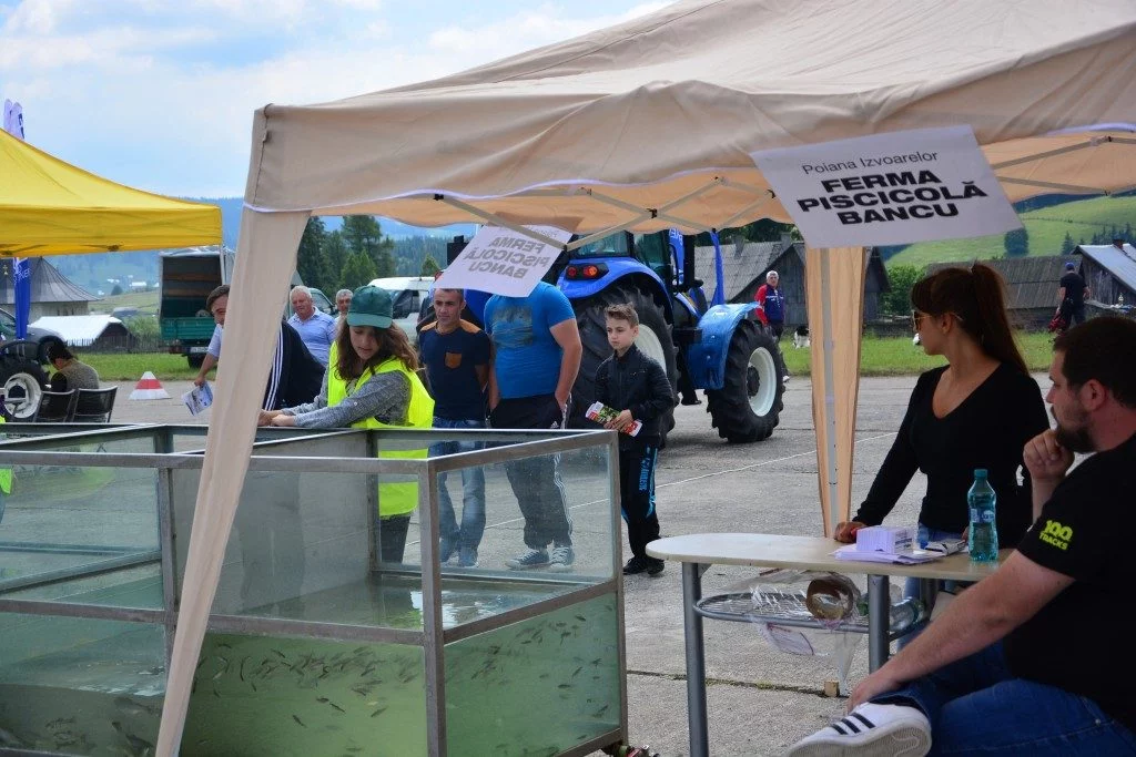targ zooteh picnic gratare (8)