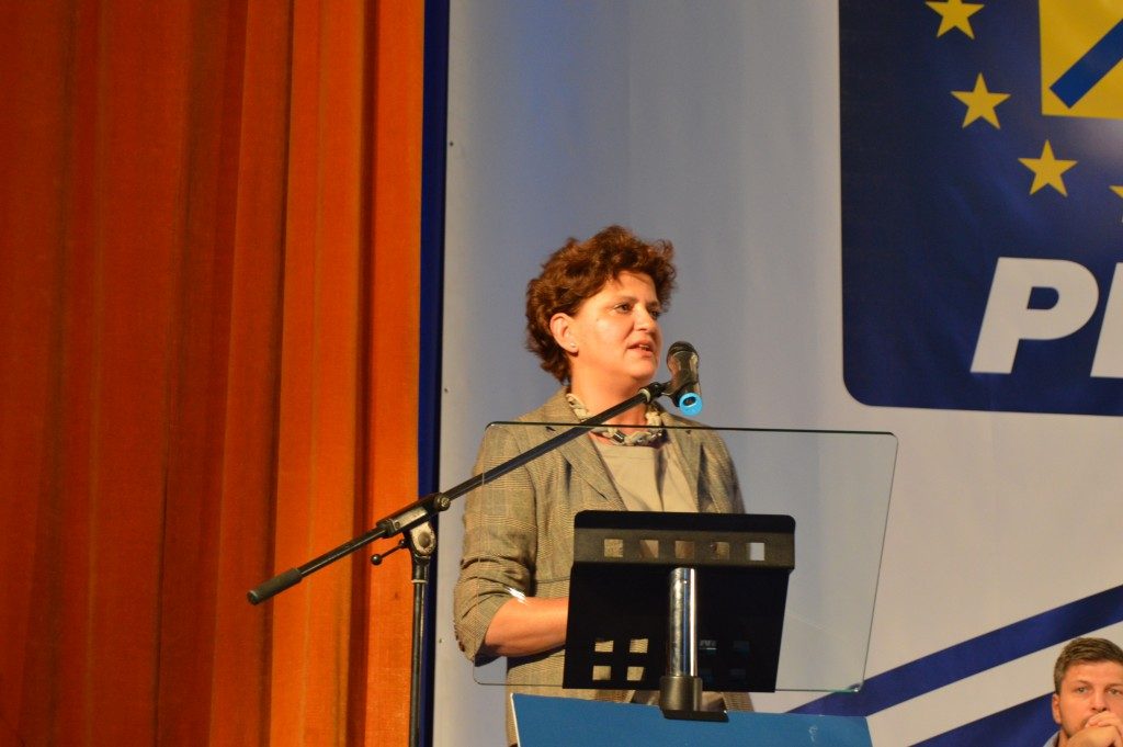 anca boagiu (2)