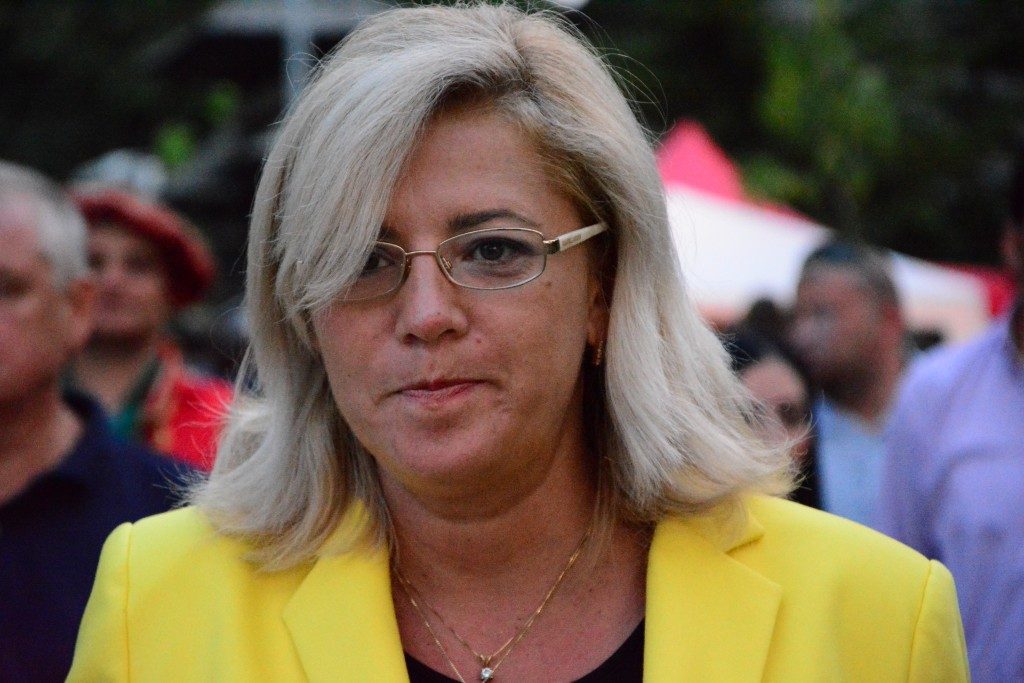 cetatea festival cretu (17)