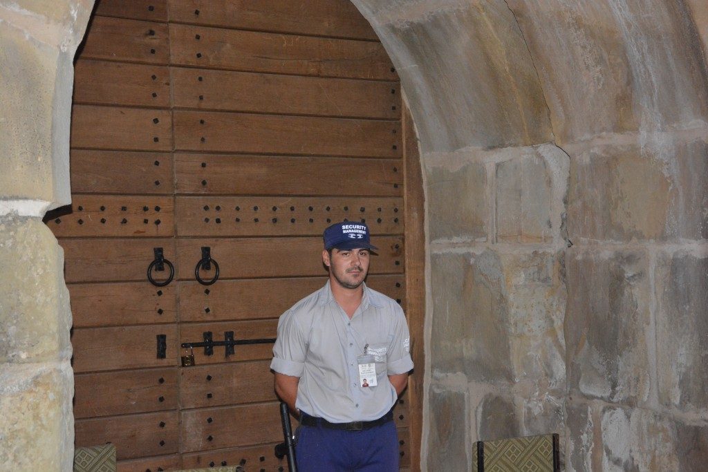 cetatea festival cretu (44)