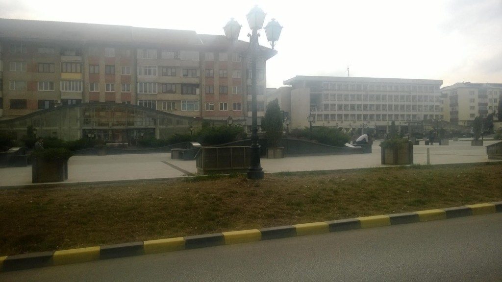 centru suceava flori (1)