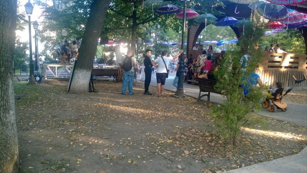 centru suceava flori