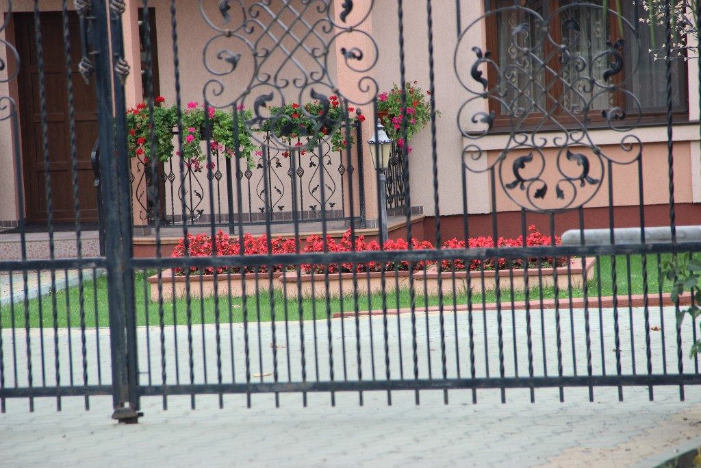 centru suceava flori (2)