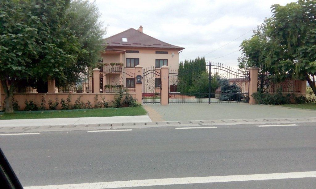 centru suceava flori (6)