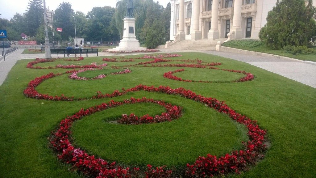 centru suceava flori (7)