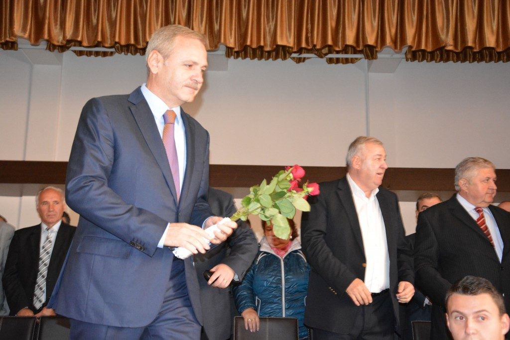 psd (41)