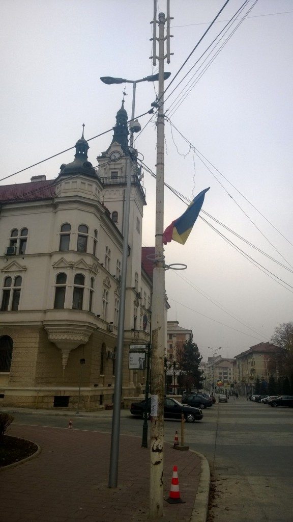 Simbolul national Suceava