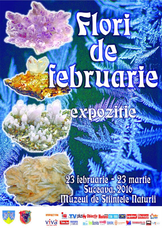 afis flori de gheata