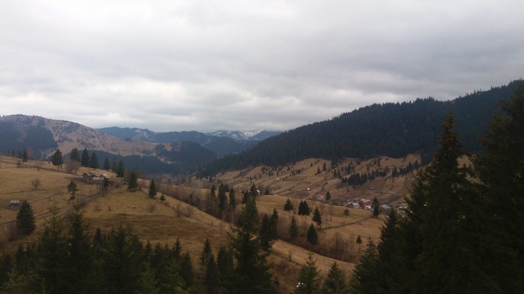 obcine codrii padure toamna primavara padure (2)