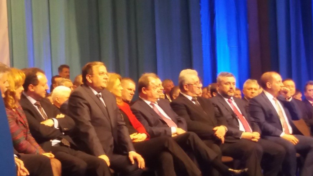 pnl gorghiu blaga candidati (17)
