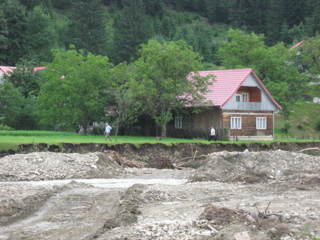ulma nisipitu