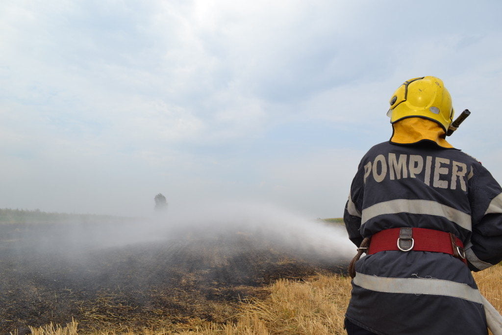 pompieri incendiu vegetatie uscata (8)