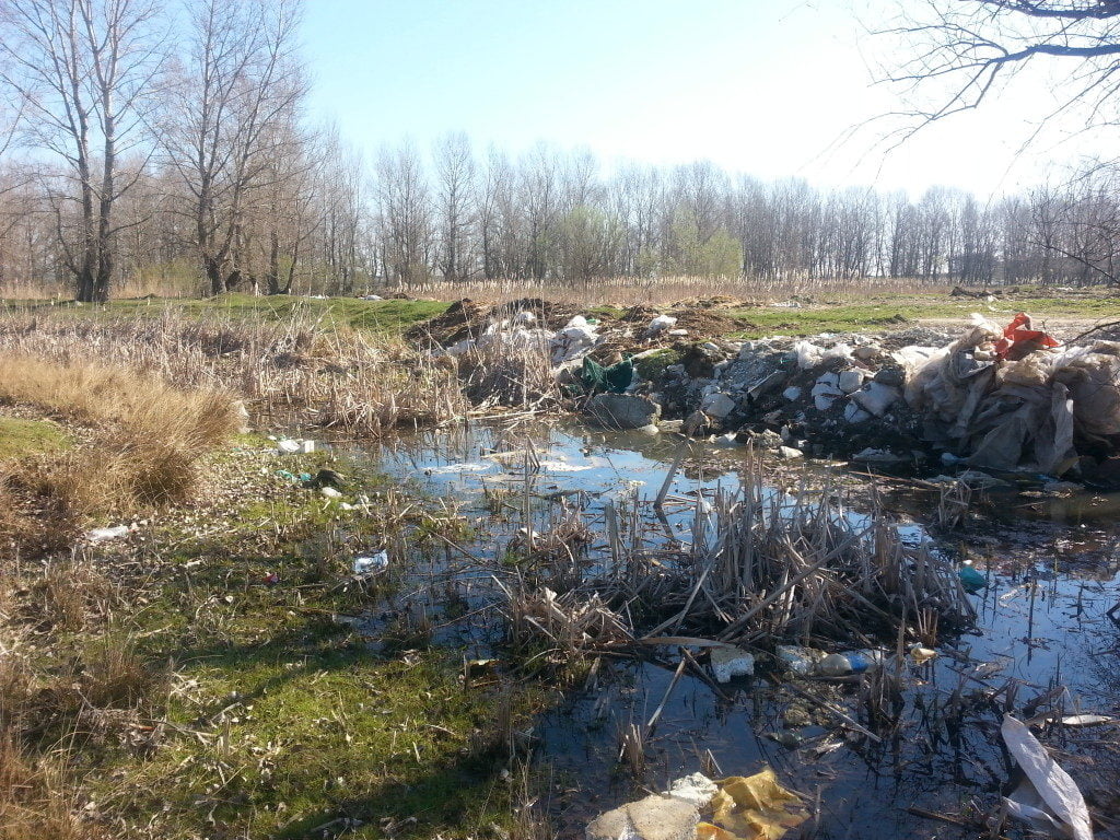 lunca râului suceava deşeuri gunoaie lunca (13)
