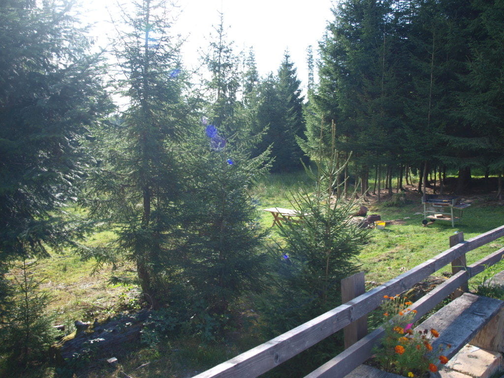 munte peisaj gard