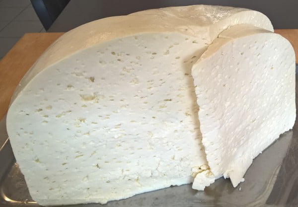 caș de oaie