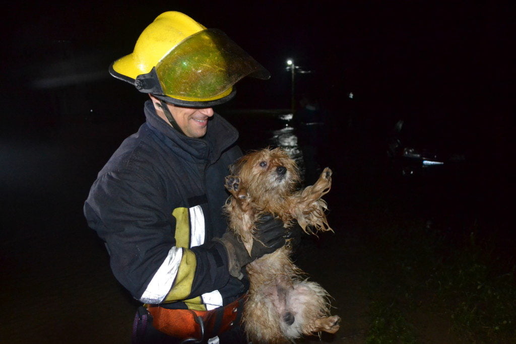 inundatii interventie isu pompieri (13)