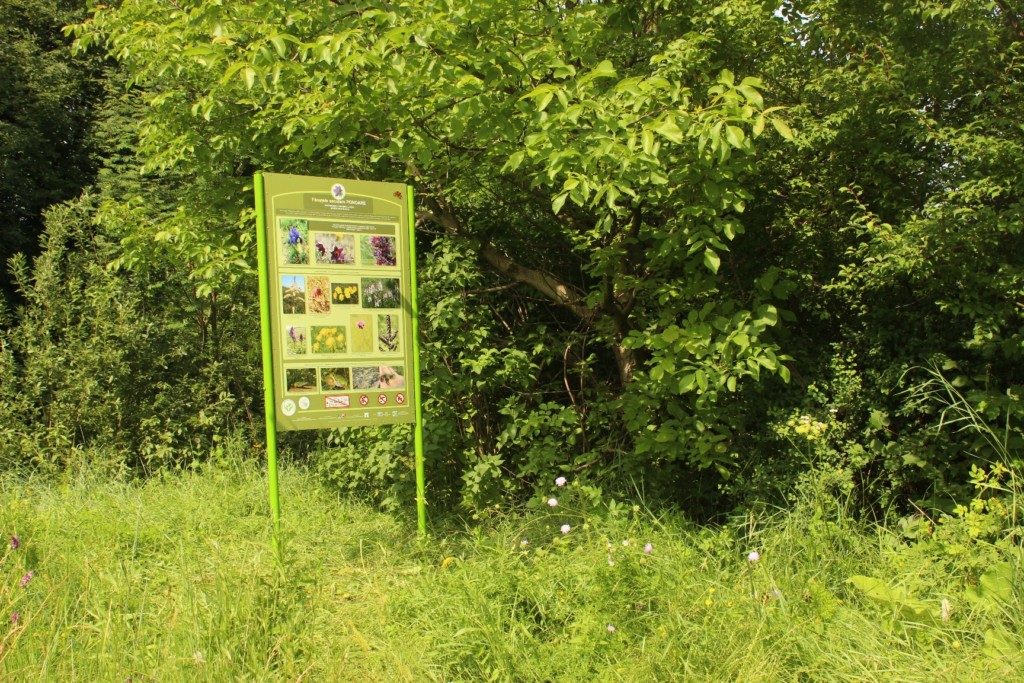panouri informare Frumoasa si Ponoare (1)