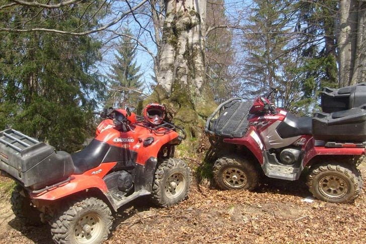 ATV padure 2