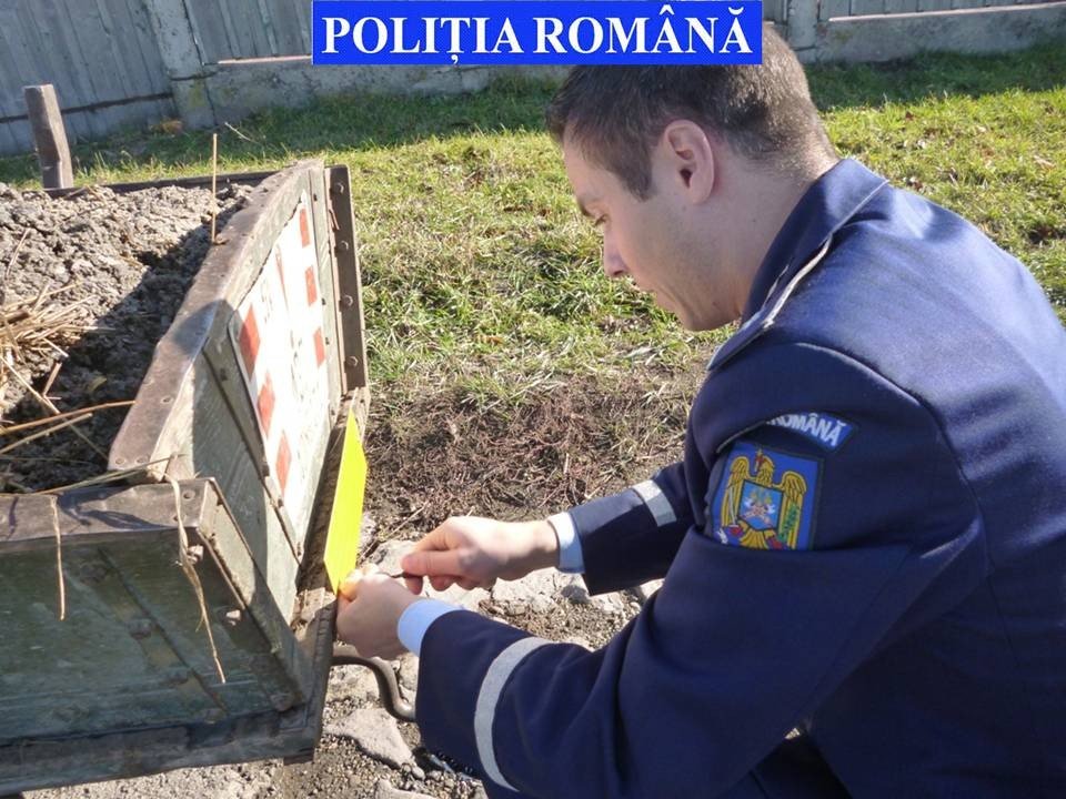 foto actiune carutasi 1
