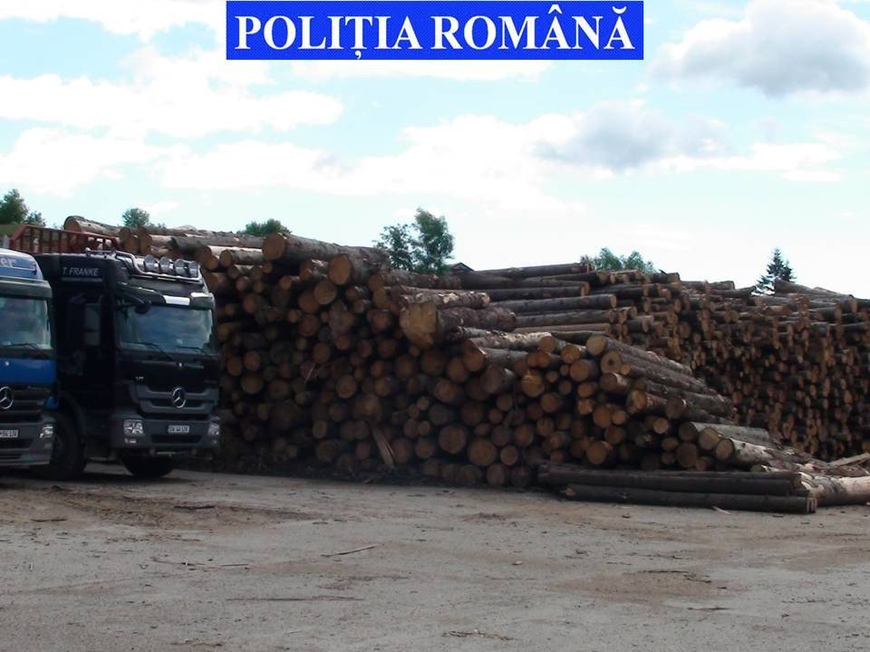 foto silvic 2