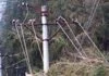 Codul galben de vânt puternic afectează rețelele electrice. Peste 500 de consumatori fără curent în județul Suceava
